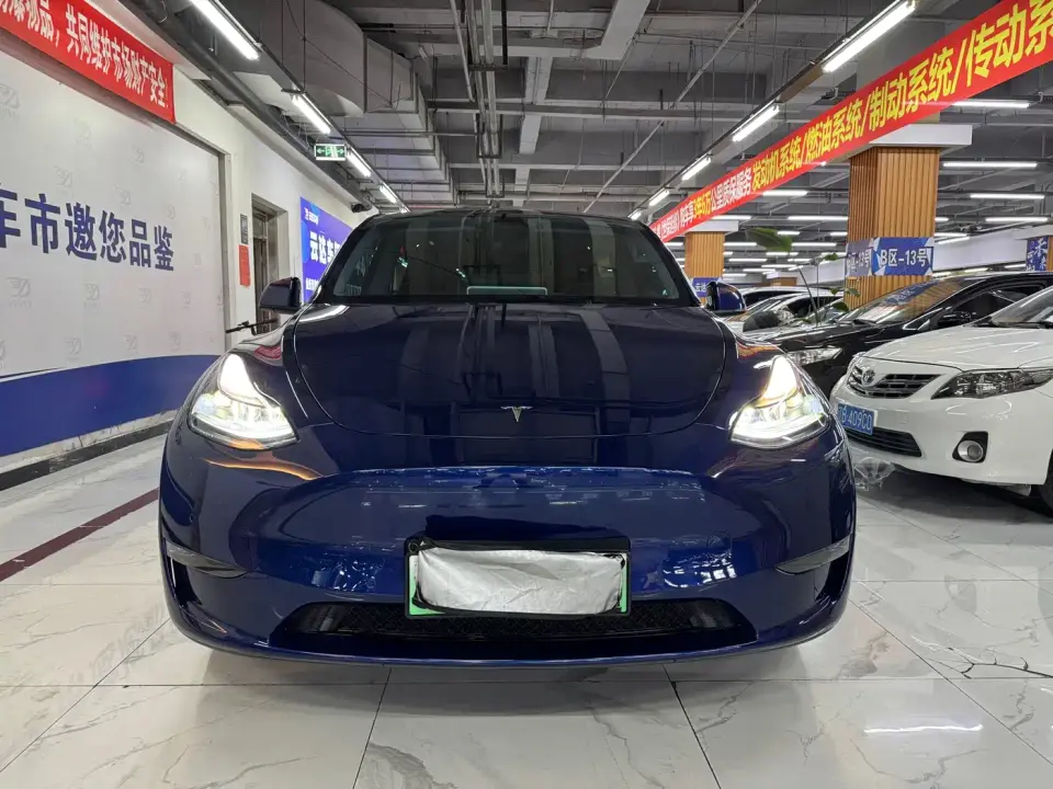 Tesla Model Y Model Long Range AWD 2021