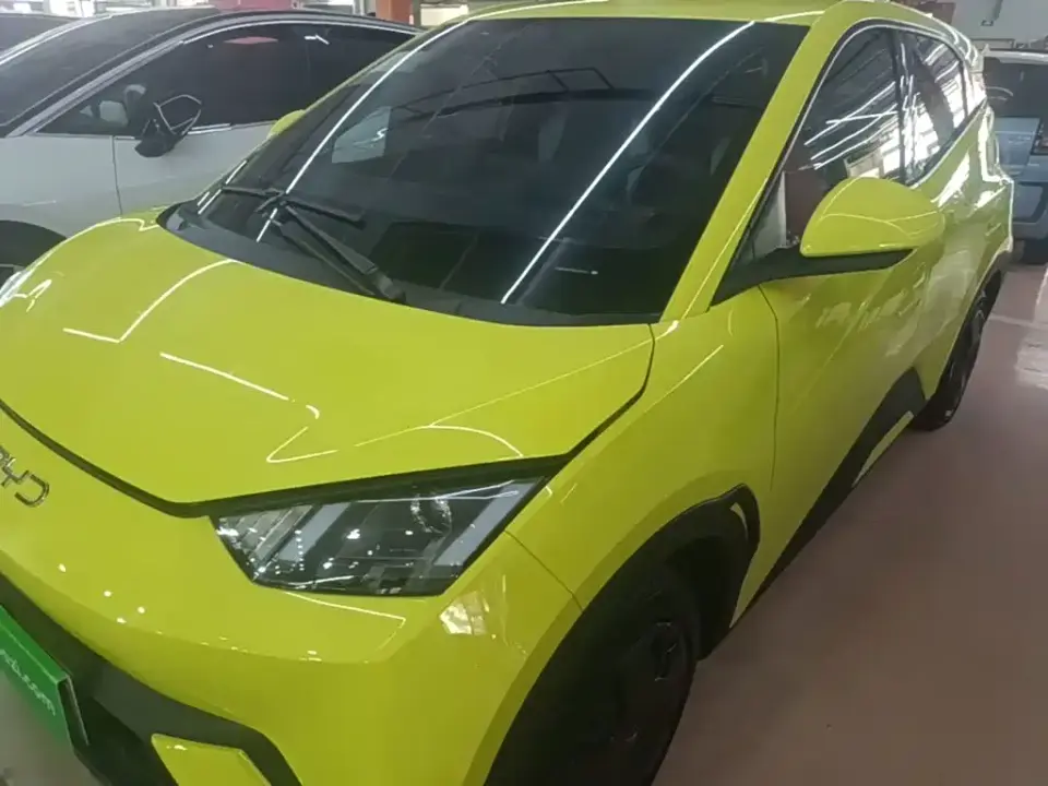 BYD Seagull Glory Edition 305km Vitality Edition 2024