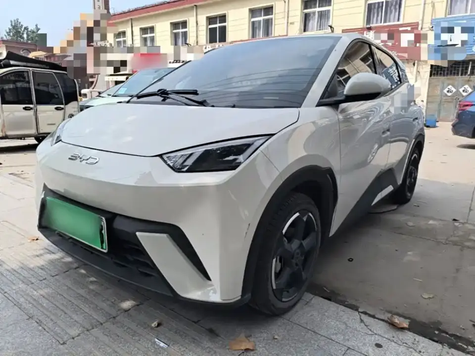 BYD Seagull Glory Edition 305km Freedom Edition 2024