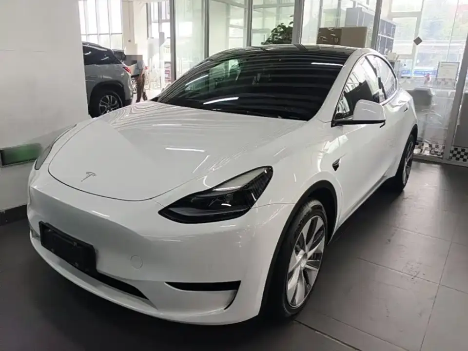 Tesla Model Y Rear-Wheel Drive Version 2022