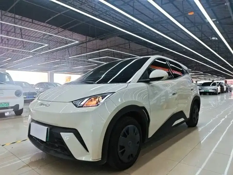 BYD Seagull Vitality Edition 2023