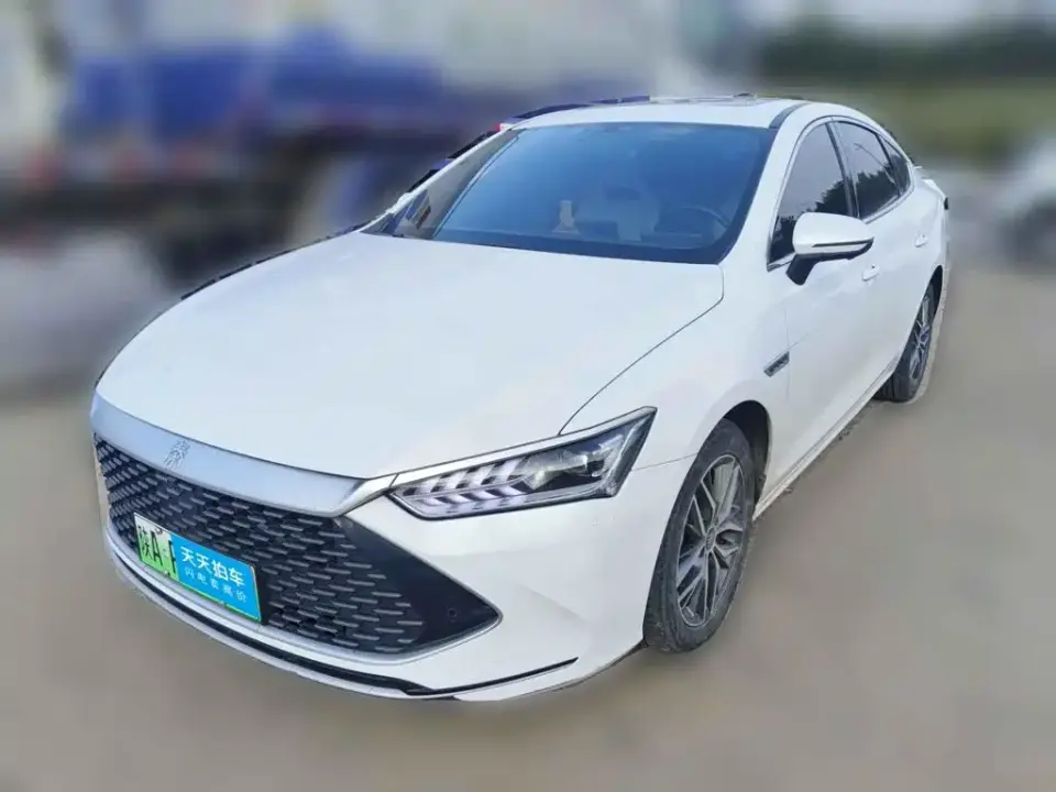 BYD Qin PLUS Champion Edition DM-i 55KM Surpassing 2023