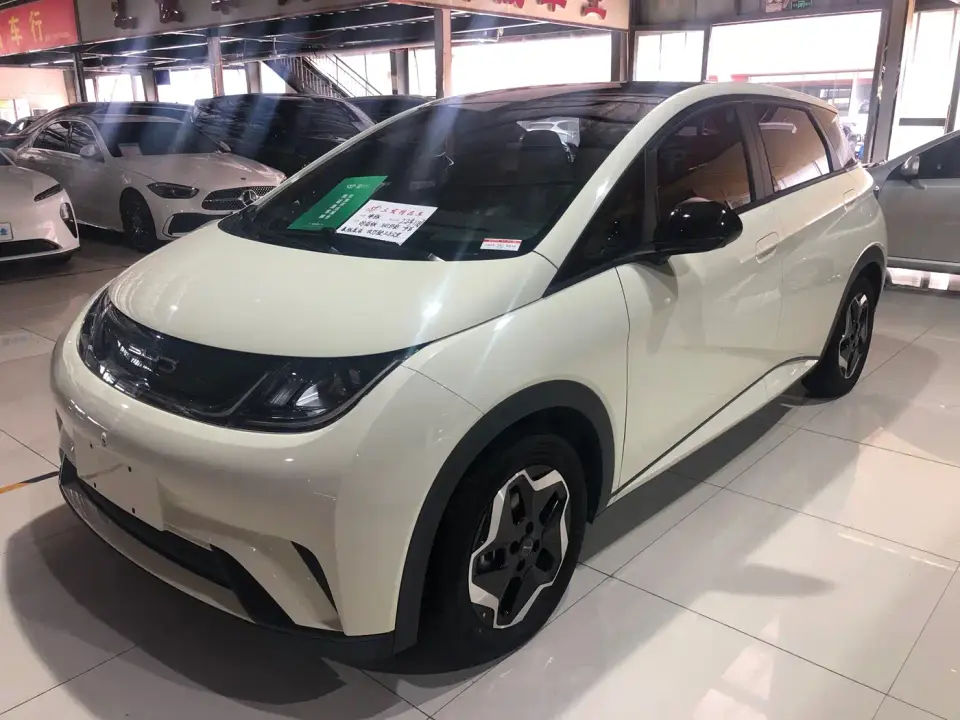BYD Dolphin Model 405km Fashion Edition 2022