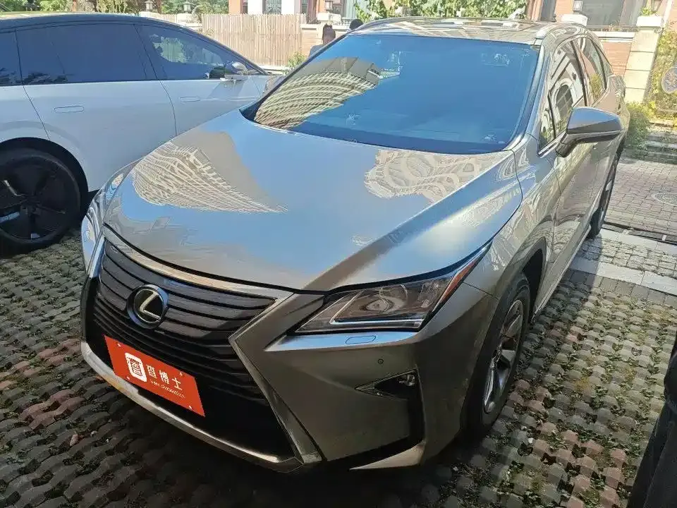 Lexus RX 300 2WD Elite Edition (China V) 2019