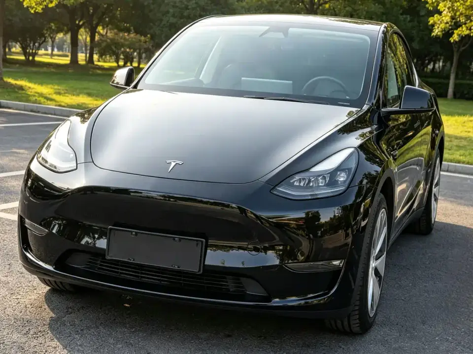 Tesla Model Y Standard Range Rear-Wheel Drive 2022