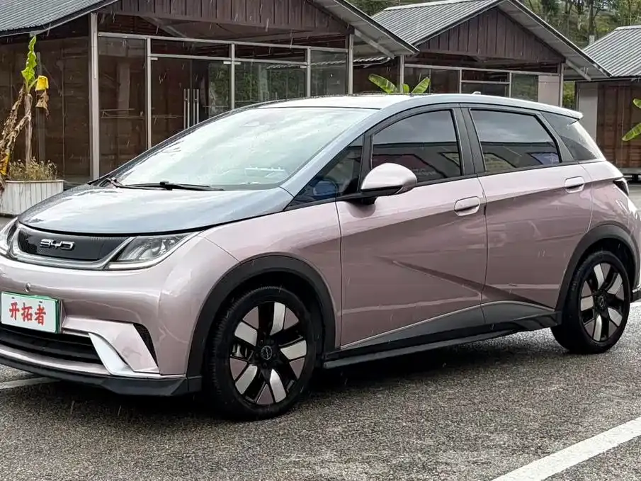 BYD Dolphin 401km Knight Edition 2022