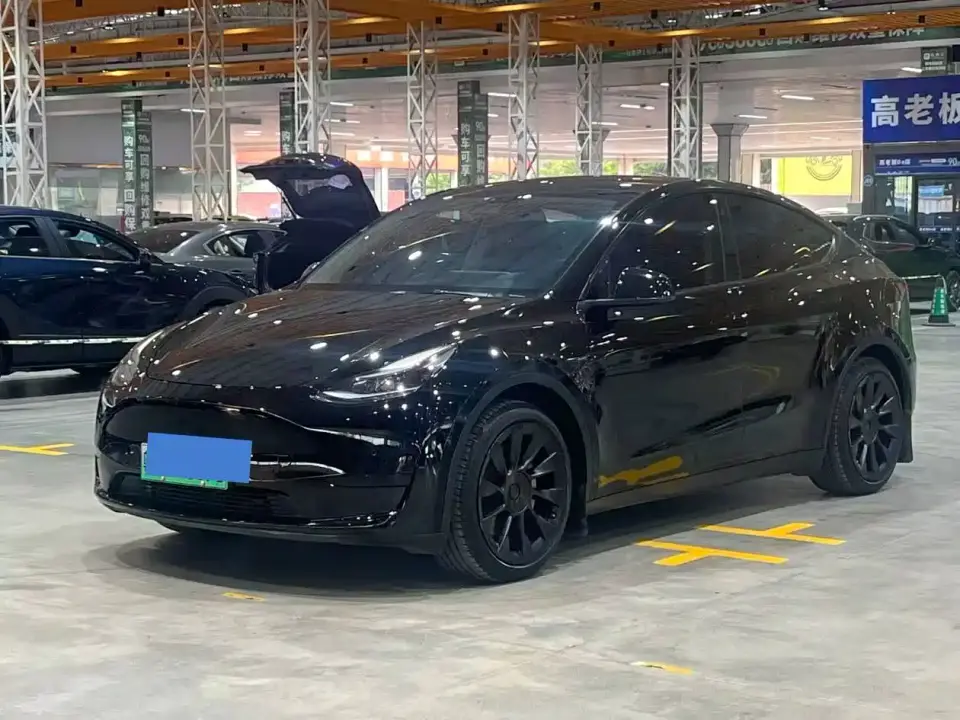 Tesla Model Y Rear-Wheel Drive Version 2022