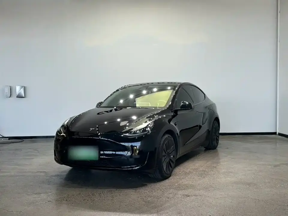 Tesla Model Y Rear-Wheel Drive Version 2022