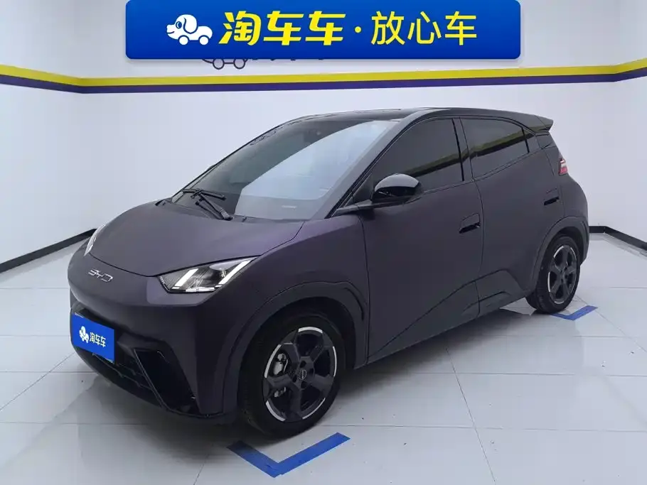BYD Seagull Freedom Edition 2024