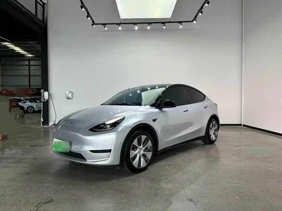 Tesla Model Y Rear-Wheel Drive Version 2022