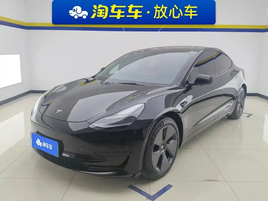Tesla Model 3 Standard Range Rear-Wheel Drive Upgrade 3D6 2021