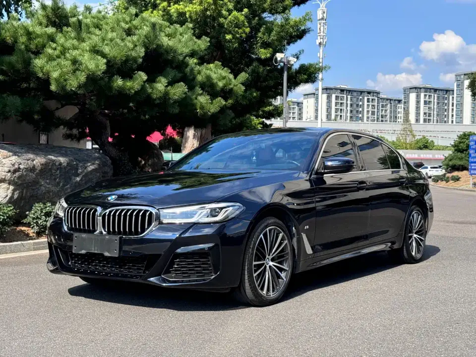 BMW 5 Series 530Li Leading M Sport Package 2021