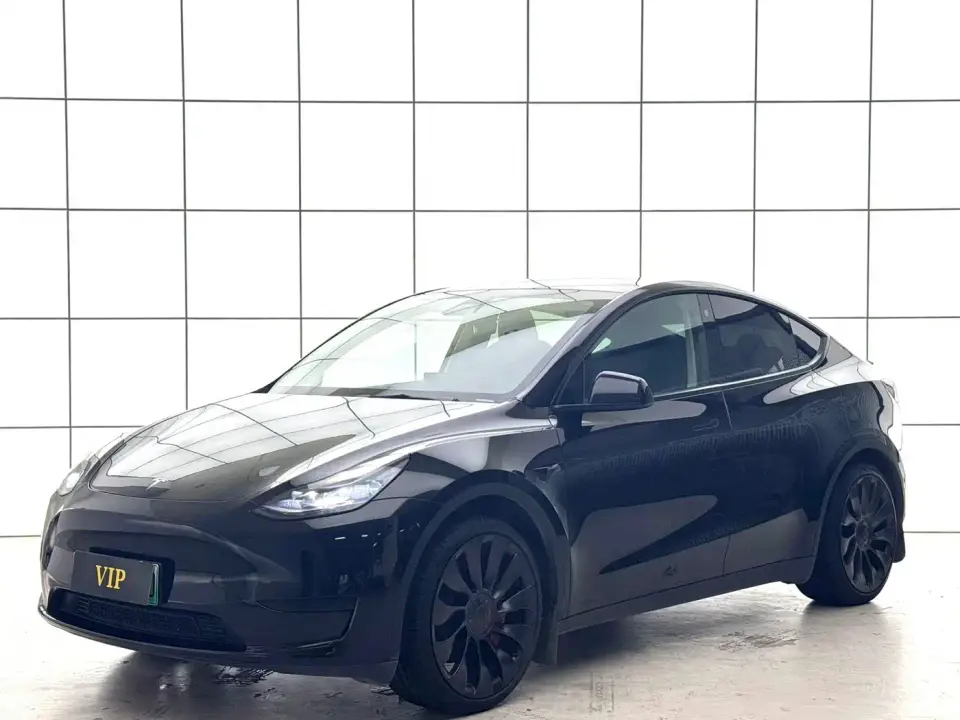 Tesla Model Y Rear-Wheel Drive Version 2022
