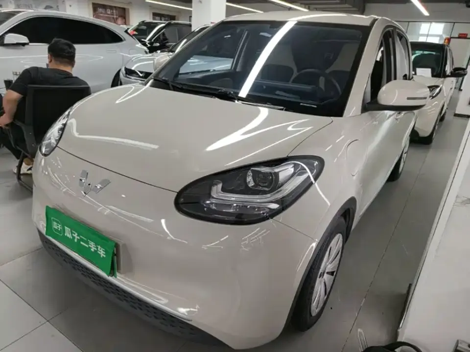 Wuling Motors Wuling Bingo 333km Quick Enjoy Version 2023
