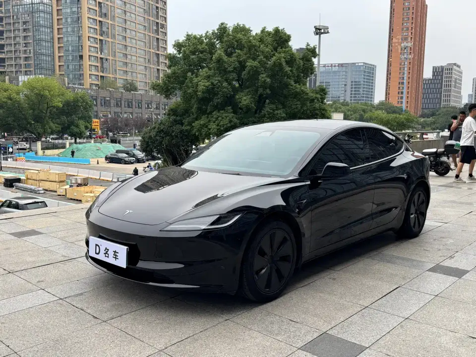 Tesla Model 3 Model Rear-Wheel Drive Edition 2025