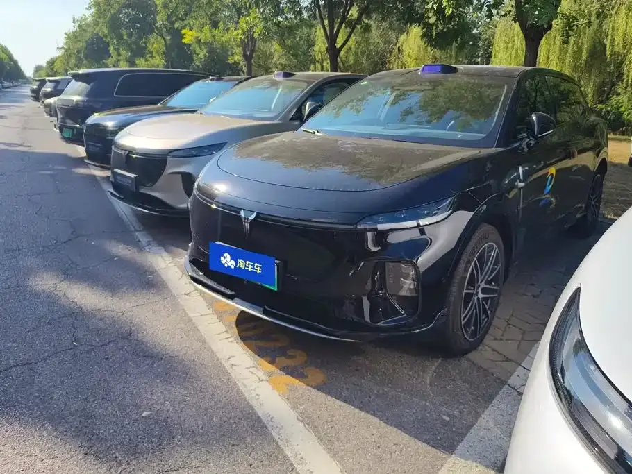 Voyah Auto Voyah Zhiyin Base 2025