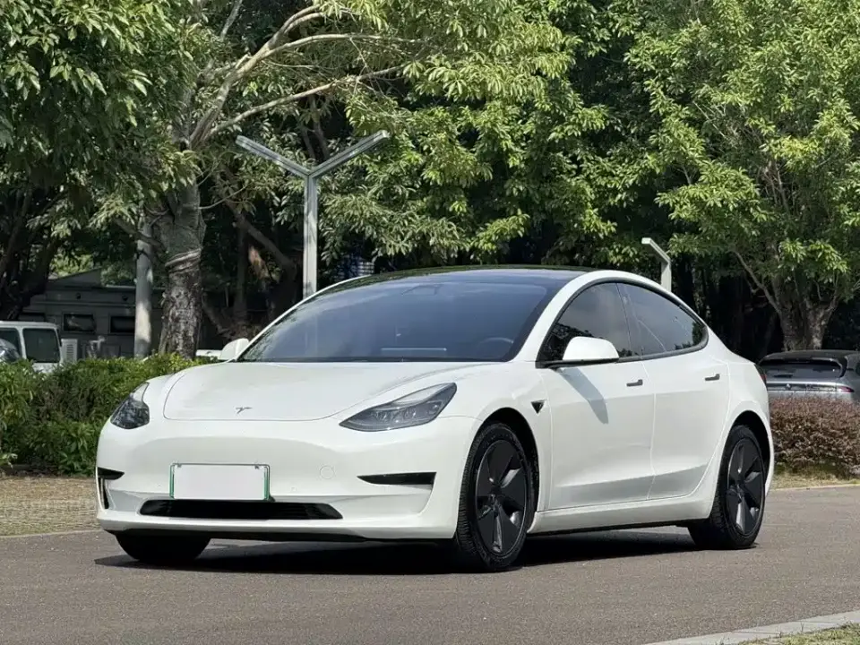 Tesla Model 3 Model Rear-Wheel Drive Version 2022