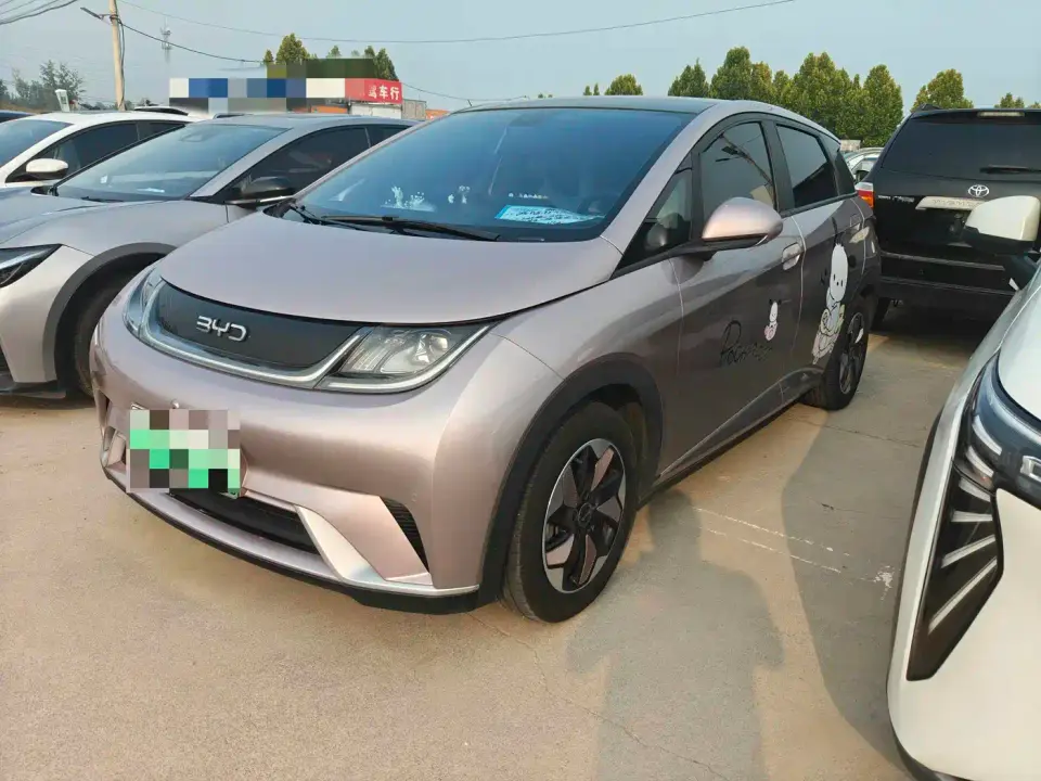BYD Dolphin 420km Fashion Edition 2024