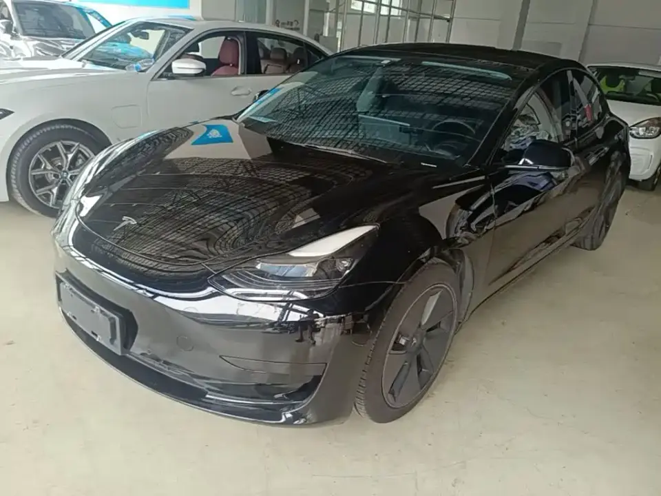 Tesla Model 3 Standard Range Rear-Wheel Drive Upgrade 2021