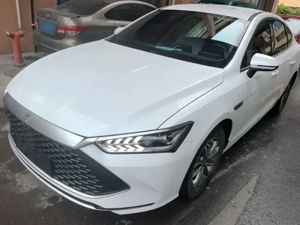 BYD Qin PLUS Glory Edition DM-i 55KM Leading 2024