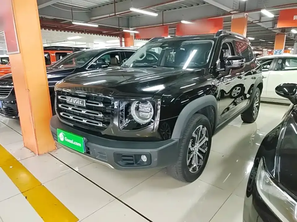 Haval Big Dog 1.5T DCT 2WD Border Collie Edition 2021
