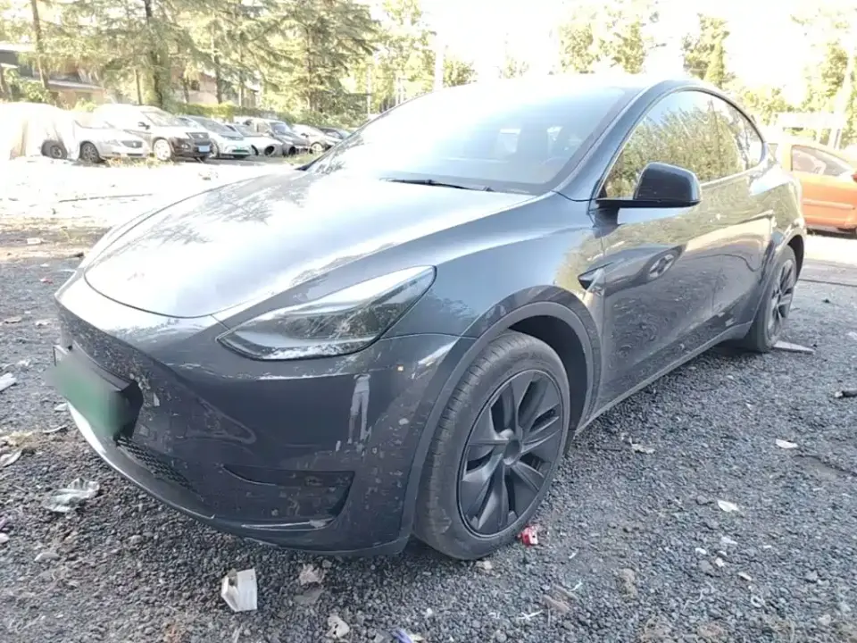 Tesla Model Y Rear-Wheel Drive Version 2024