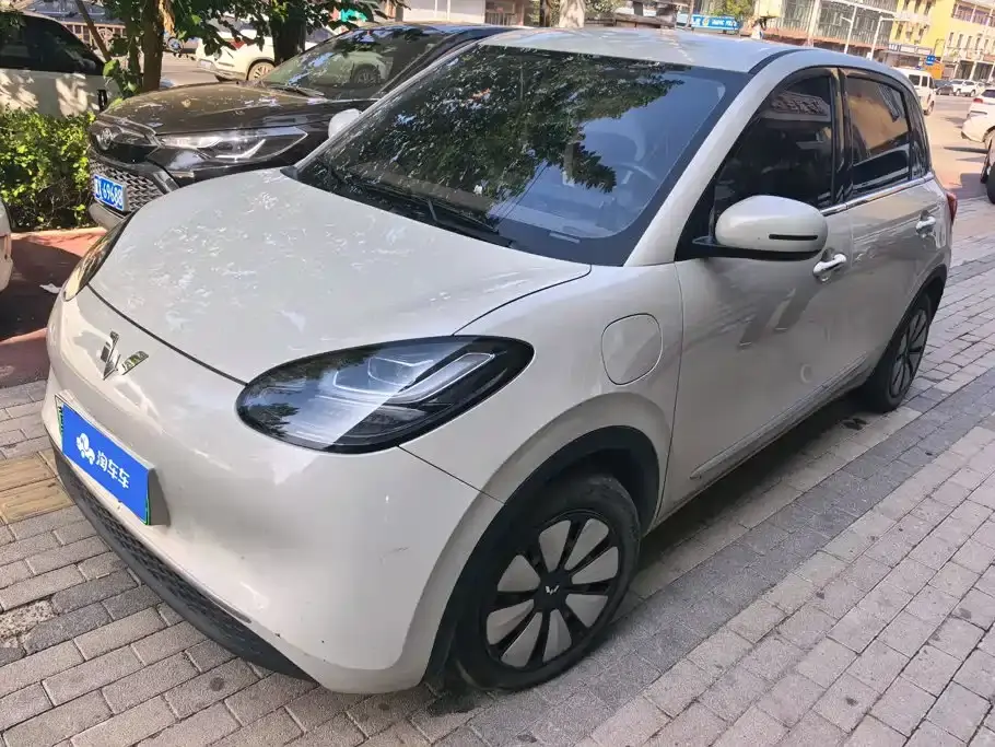 Wuling Motors Wuling Bingo 333km Comfort Edition 2024