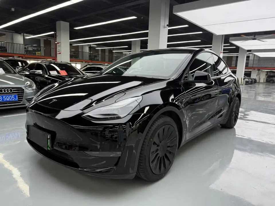 Tesla Model Y Standard Range Rear-Wheel Drive 2021