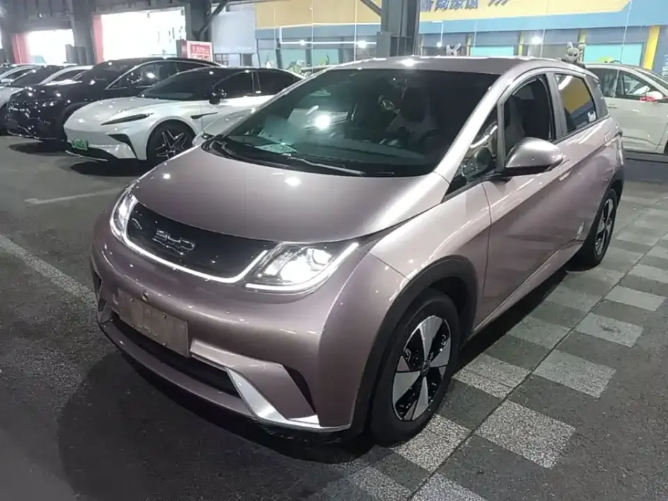BYD Dolphin 420km Freedom Edition 2023