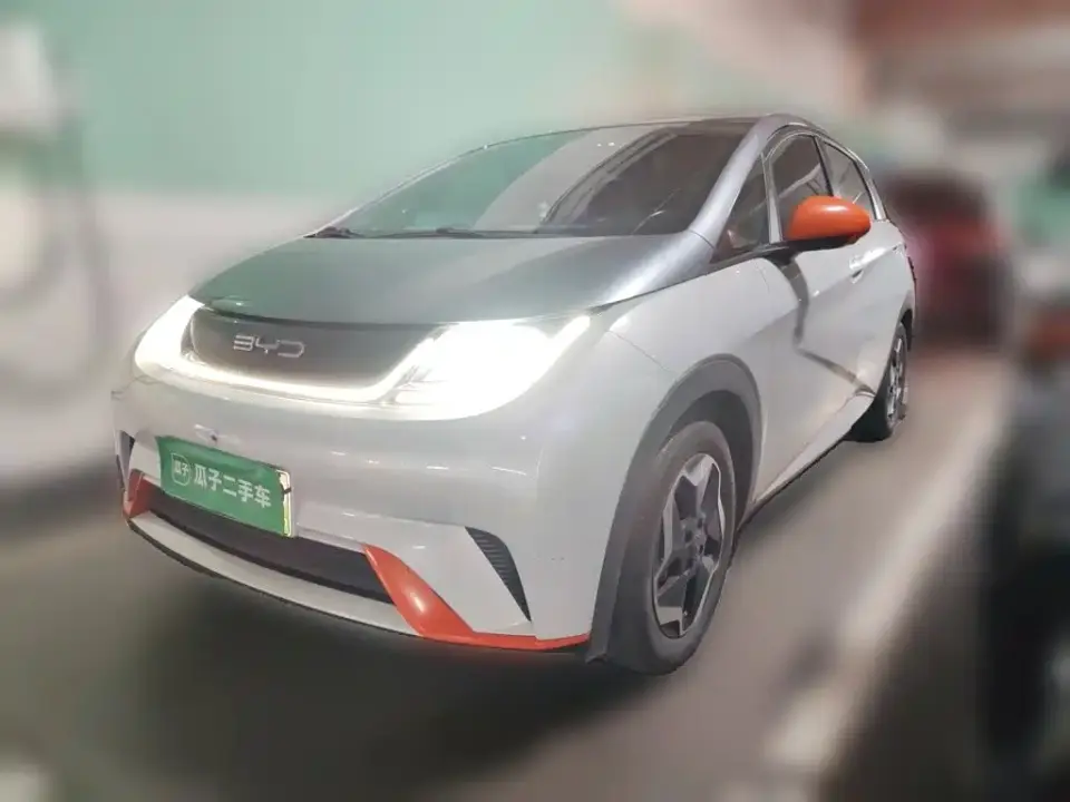 BYD Dolphin 405km Freedom Edition 2021