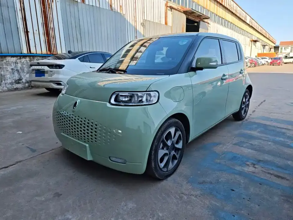 ORA White Cat 305km Luxury 2021