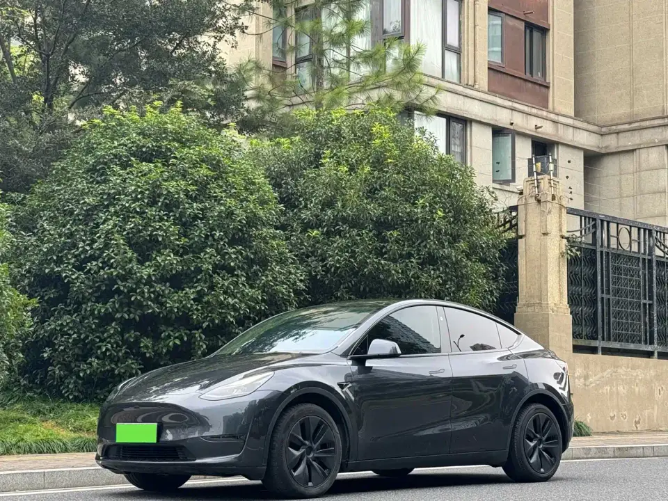 Tesla Model Y Long Range AWD 2024