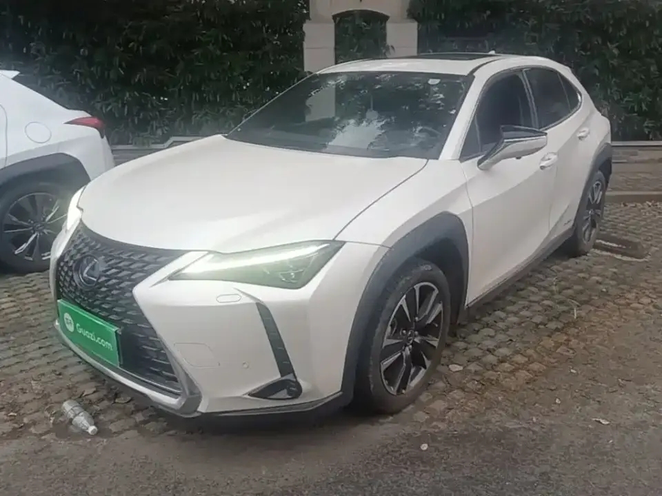 Lexus UX 260h Explore Enjoy Edition 2020