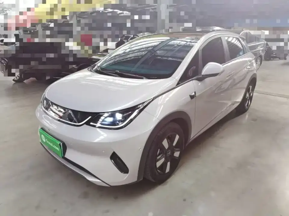 BYD Dolphin Smart Drive Edition 410km Fashion Version 2025