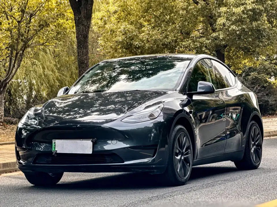 Tesla Model Y Rear-Wheel Drive Version 2024