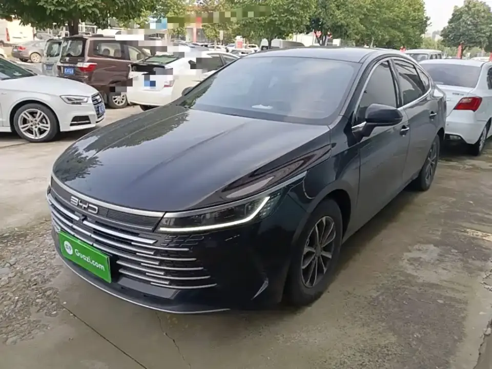 BYD Destroyer 05 Glory Edition DM-i 55KM Luxury 2024