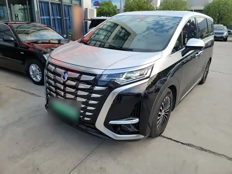 Denza D9 DM-i 1050 Premium 2024