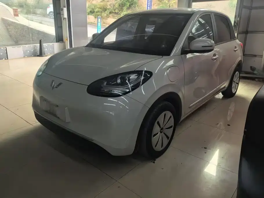 Wuling Motors Wuling Bingo 333km Quick Enjoy Version 2023