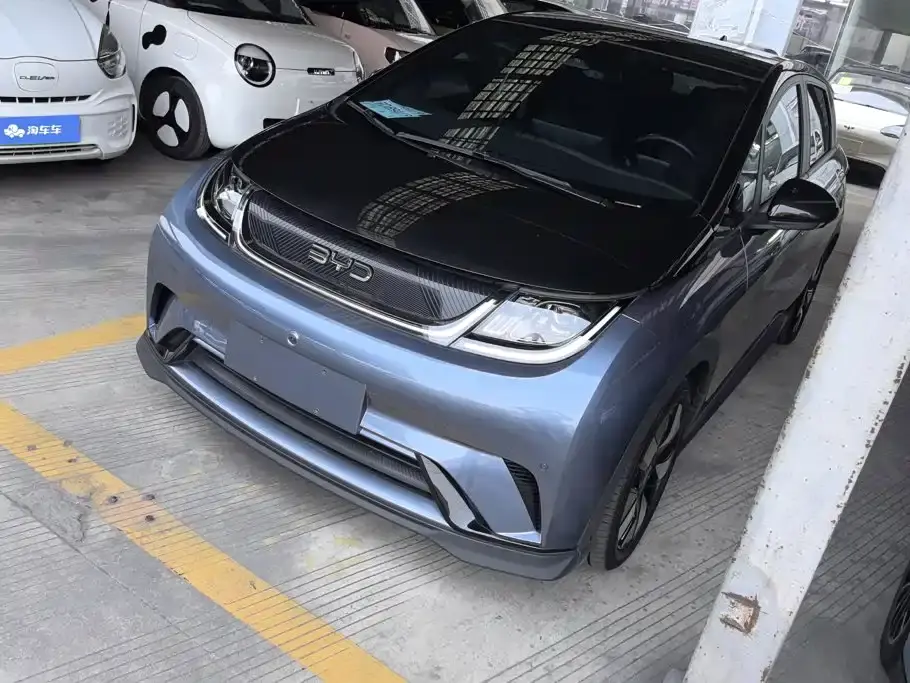 BYD Dolphin 520km Knight Edition 2024