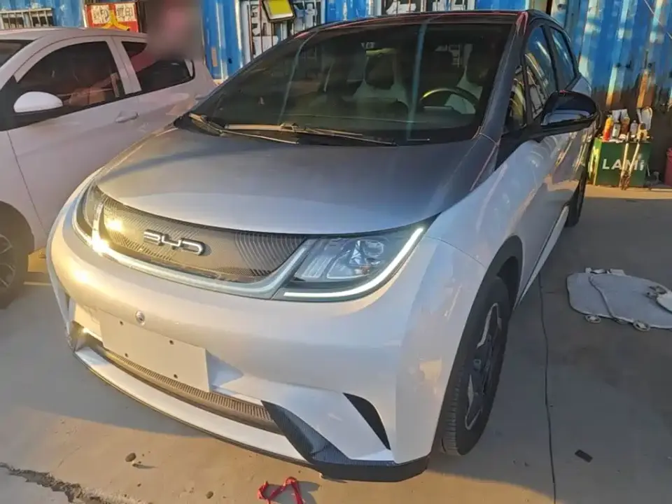BYD Dolphin Model 405km Fashion Edition 2023