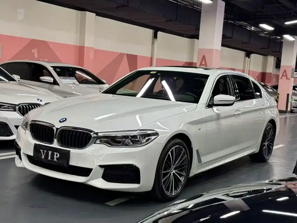 BMW 5 Series 530Li Exclusive M Sport Package 2020
