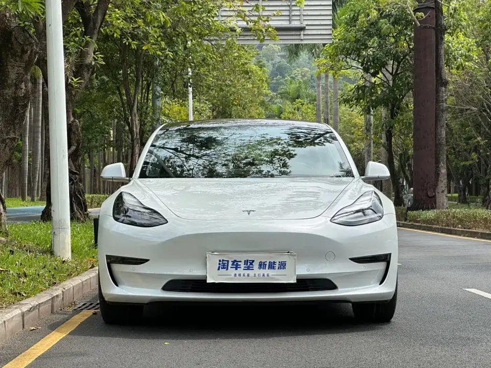 Tesla Model 3 (Import) Long Range RWD Version 2019