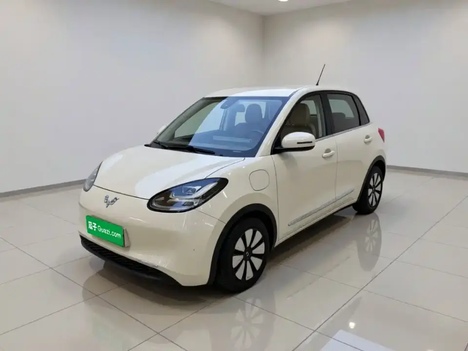 Wuling Motors Wuling Bingo 333km Joyful Version 2023