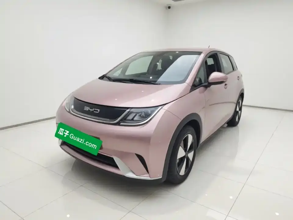 BYD Dolphin 420km Freedom Edition 2024