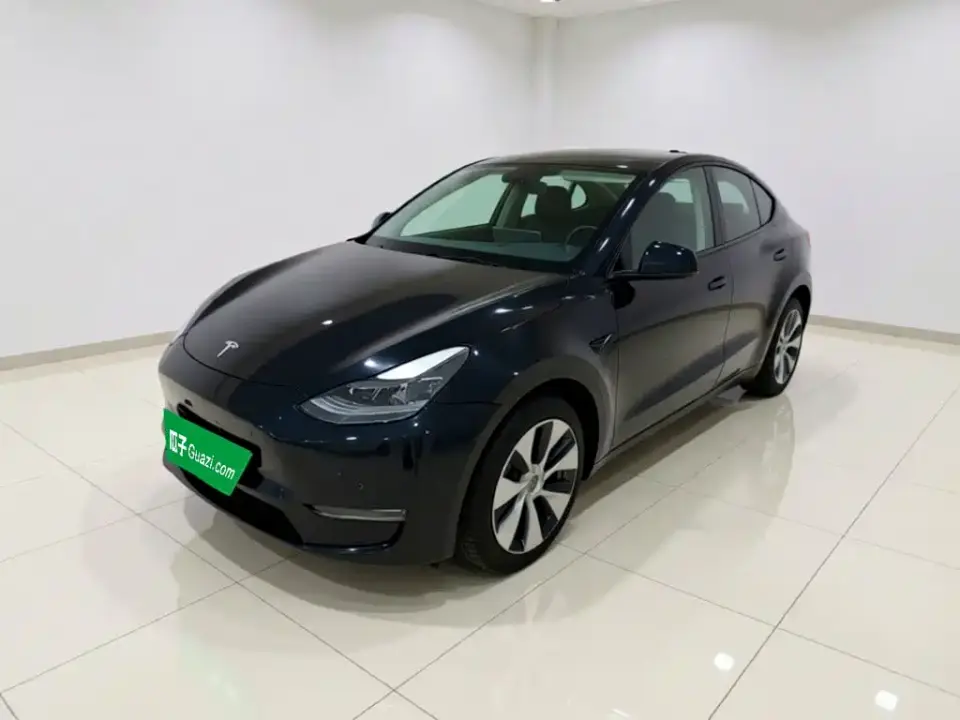 Tesla Model Y Long Range All-Wheel Drive 3D7 2021