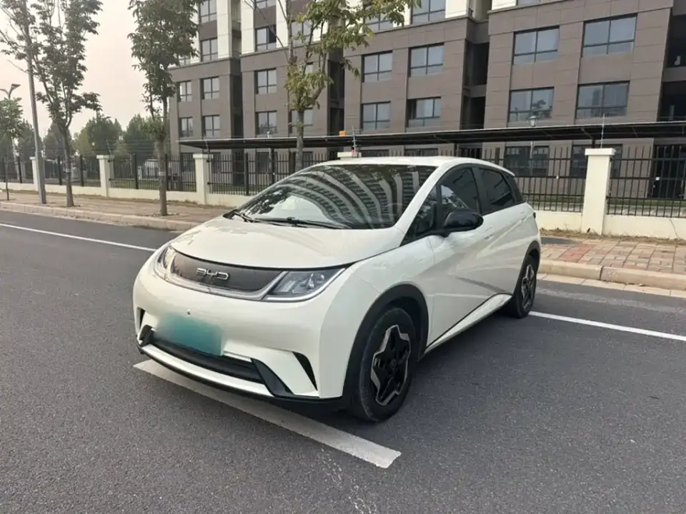 BYD Dolphin 405km Freedom Edition 2022