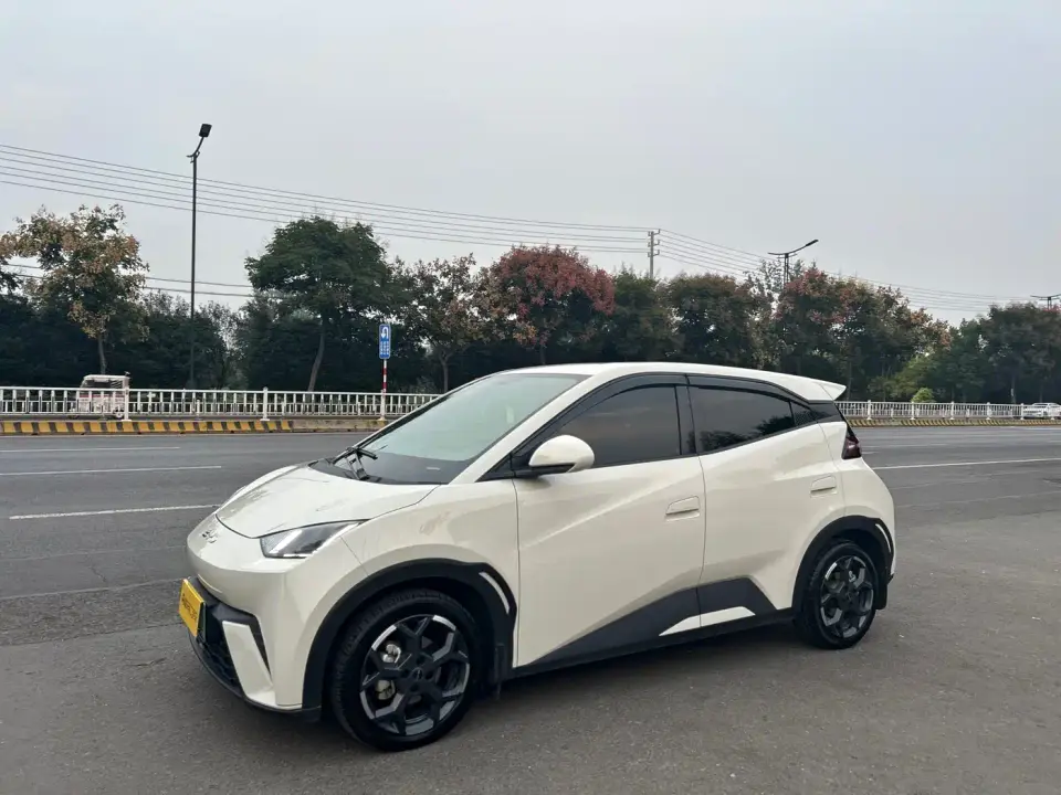 BYD Seagull 405km Soaring 2024
