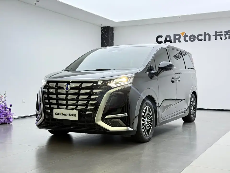 Denza D9 DM-i 1050 Premium 2024