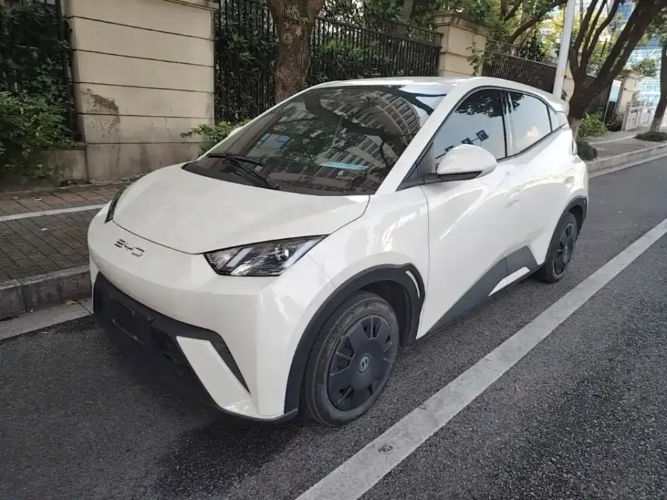 BYD Seagull Vitality Edition 2024