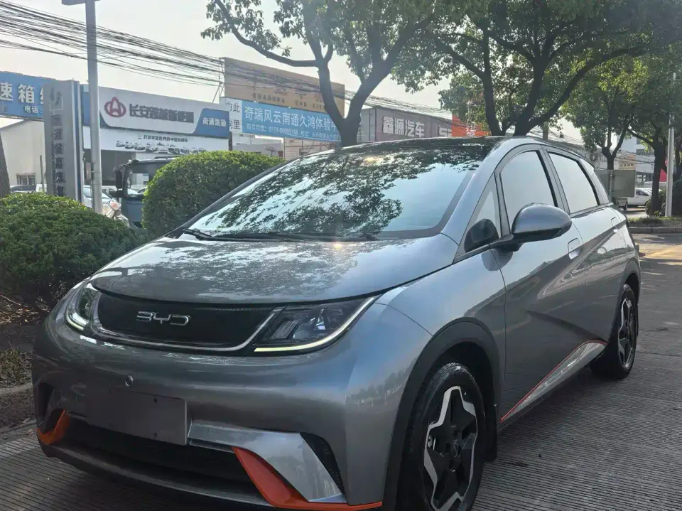 BYD Dolphin Model 405km Fashion Edition 2022